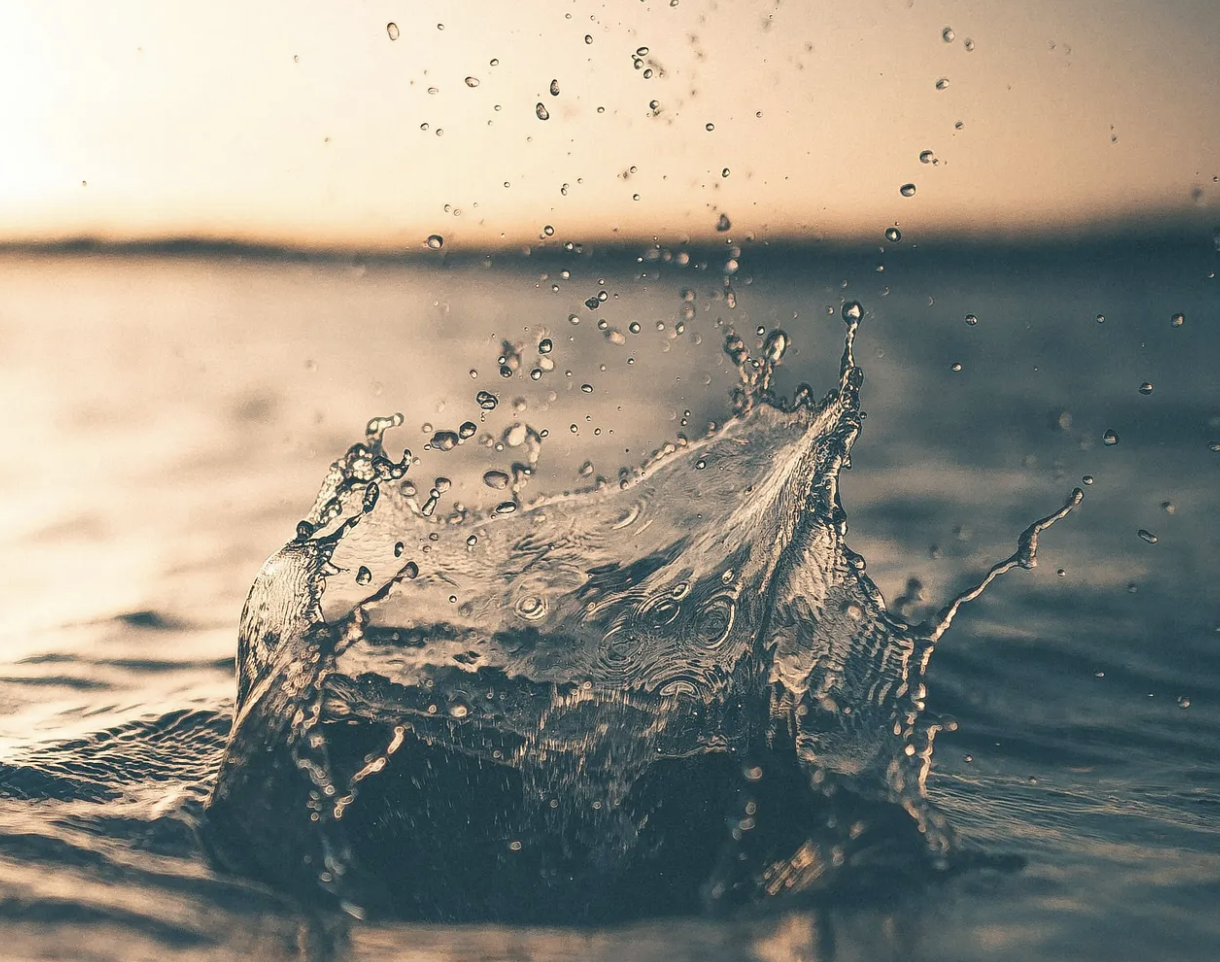 Why Water is the Most Precious Thing in the World?